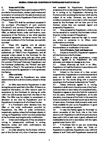 v-pp-usa-terms-and -conditions.webp