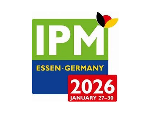 Messelogo IPM 2026